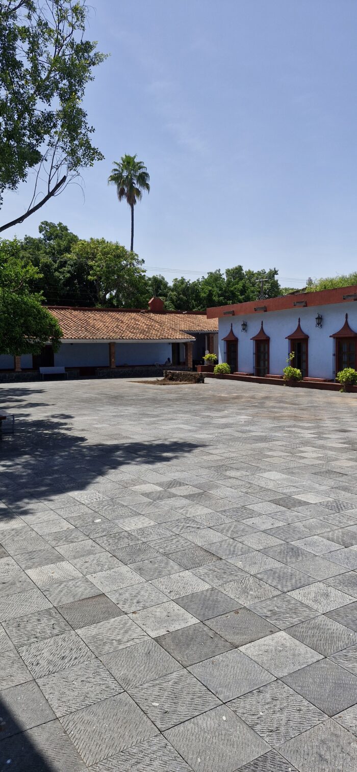 Zapata