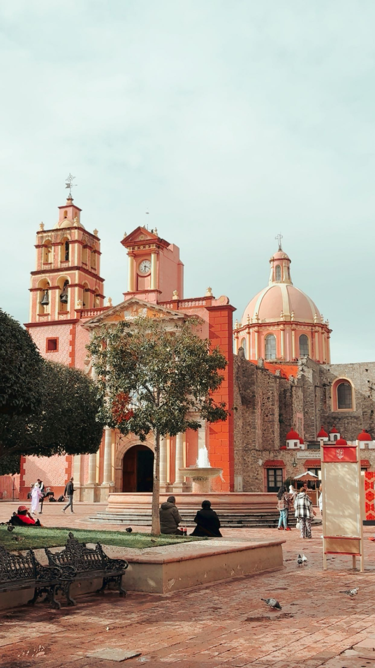 La vida es Rosa en Tequis