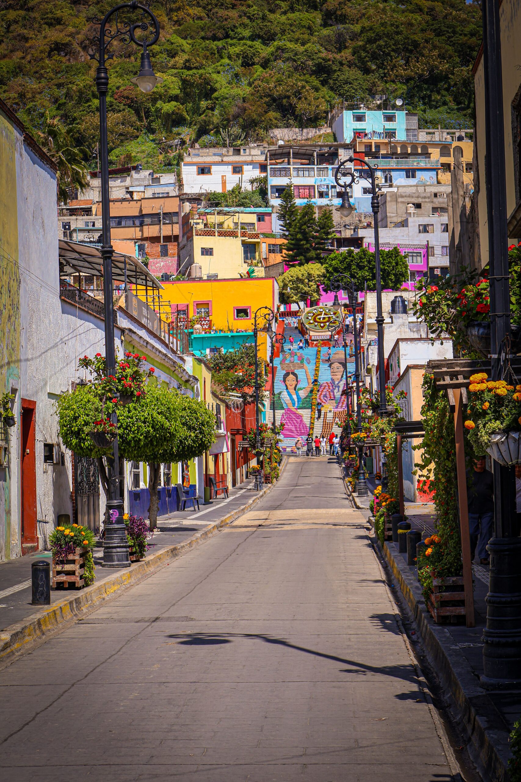 Un camino hacia el color